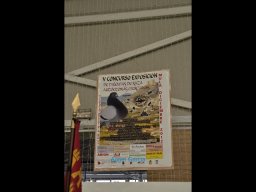 Concurso de Palomas 2012